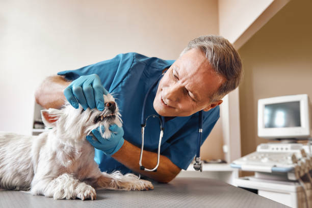 Best 24-Hour Emergency Dentist in Cisco, TX